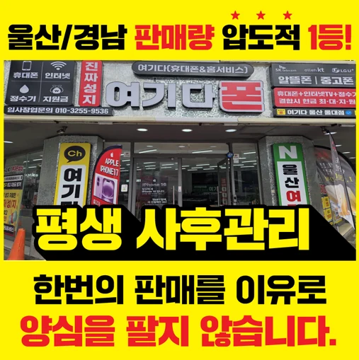 무거점 지역 생활가이드